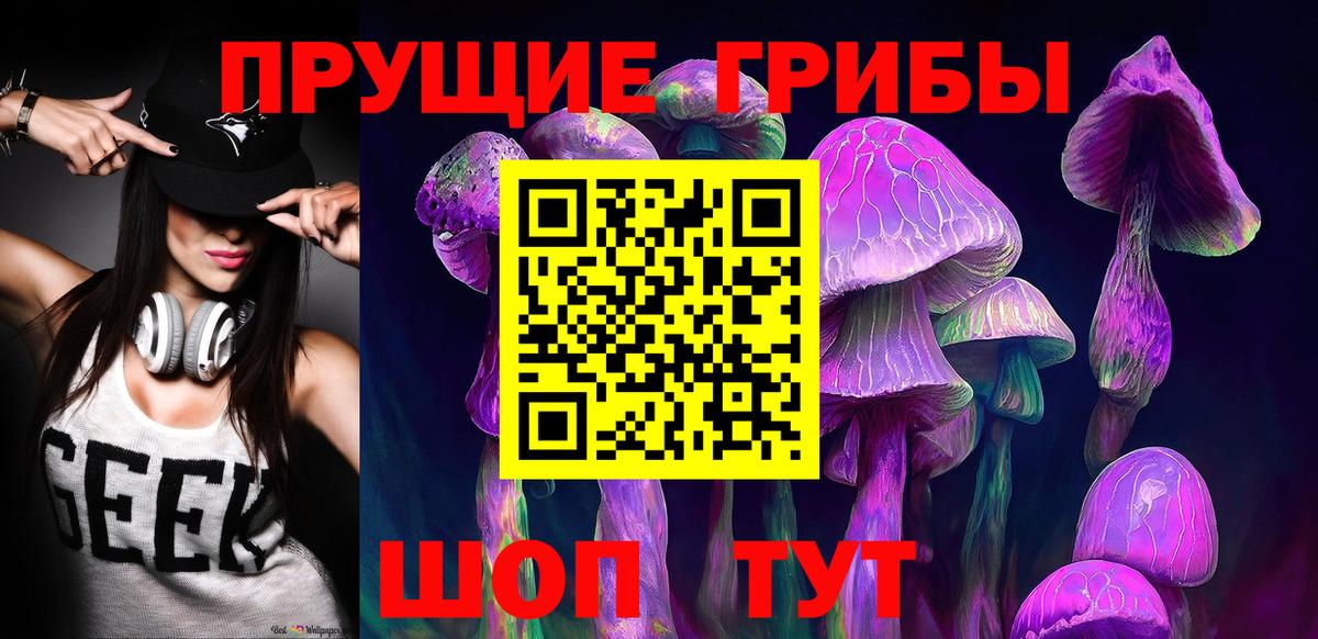 Галлюциногенные грибы Psilocybe Черкесск
